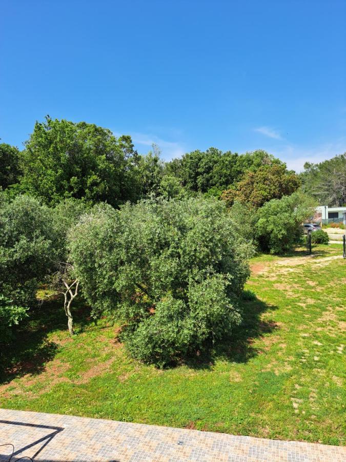 Villa Eucaliptus Istrien Rovinj Exterior photo